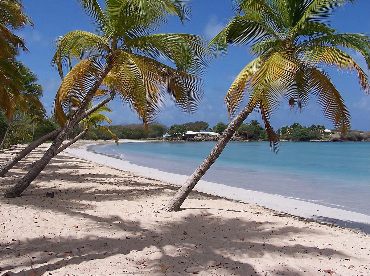 Photo du lieu : La plage des Salines (Sainte-Anne)